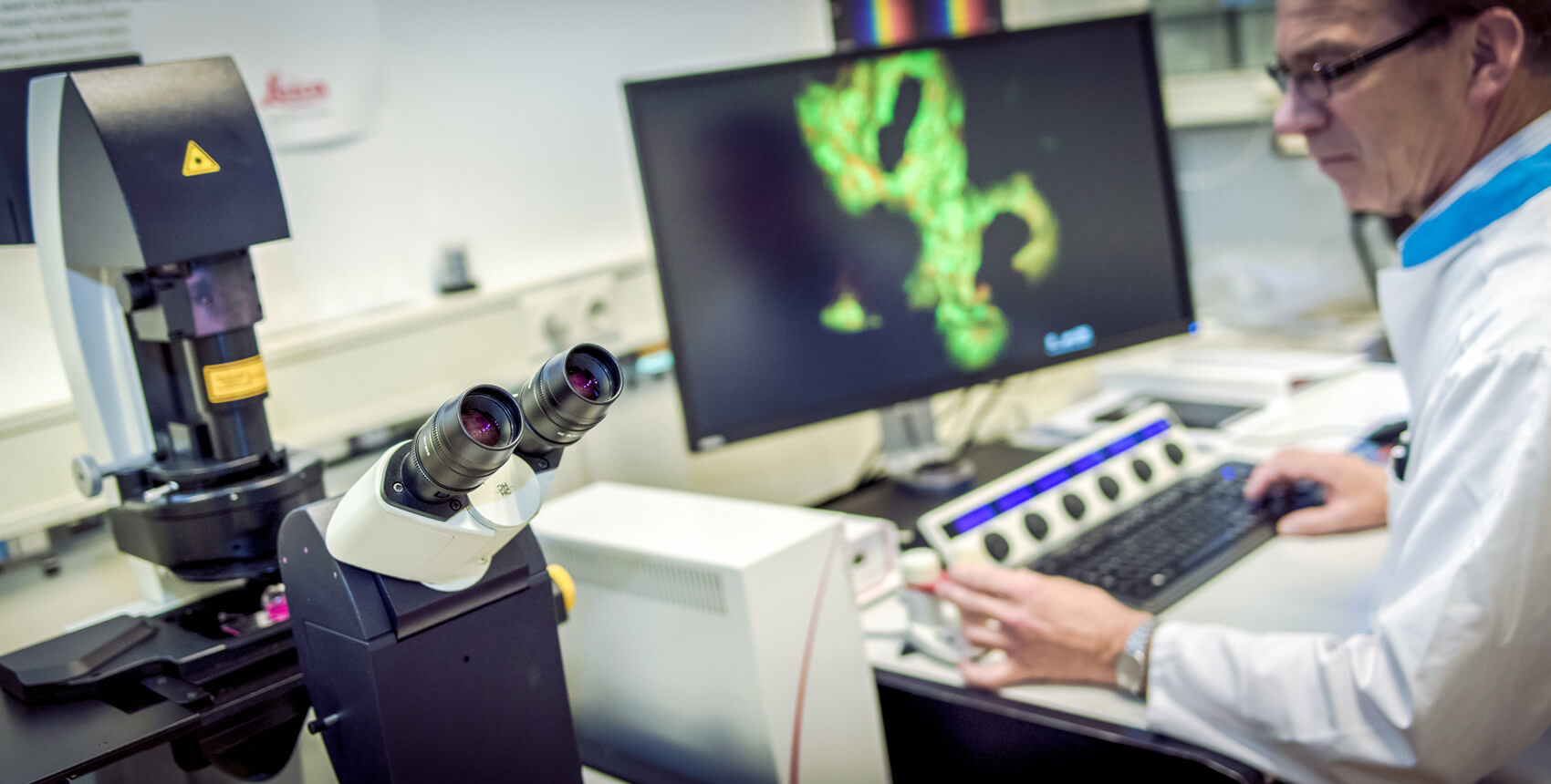 Dairy and Plant Proteins