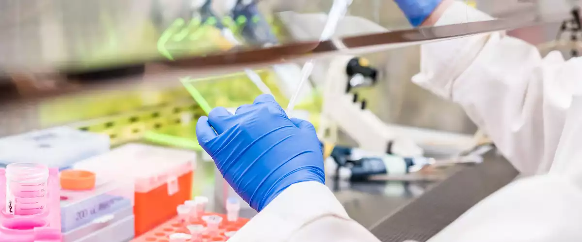 Microbial Identification in Food Products