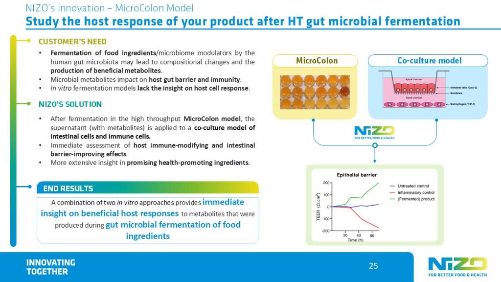 NIZO's MicroColon Model case