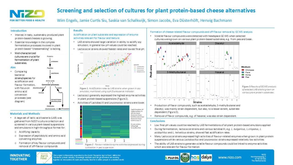 Screening and selection of cultures for plant protein-based cheese alternatives case