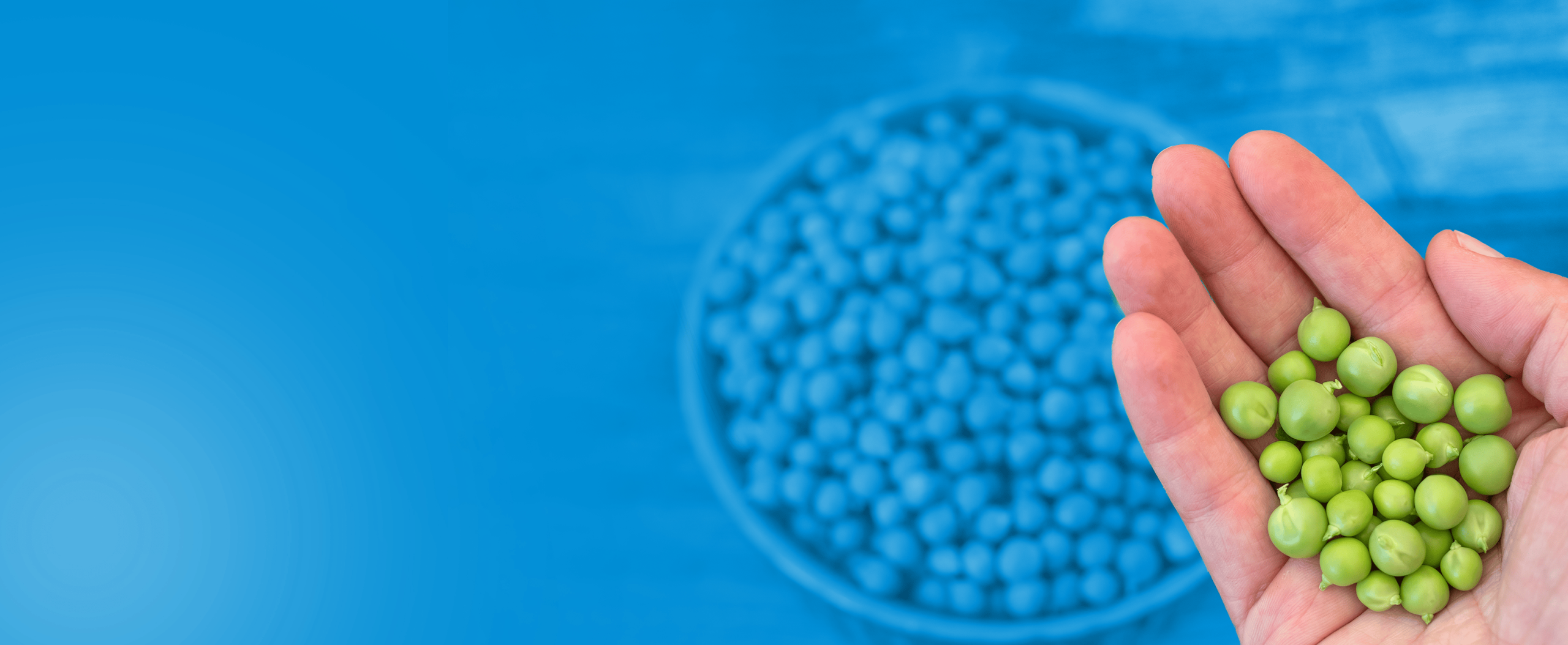 NIZO’s 2025 Offer: 1-day Extrusion Trial