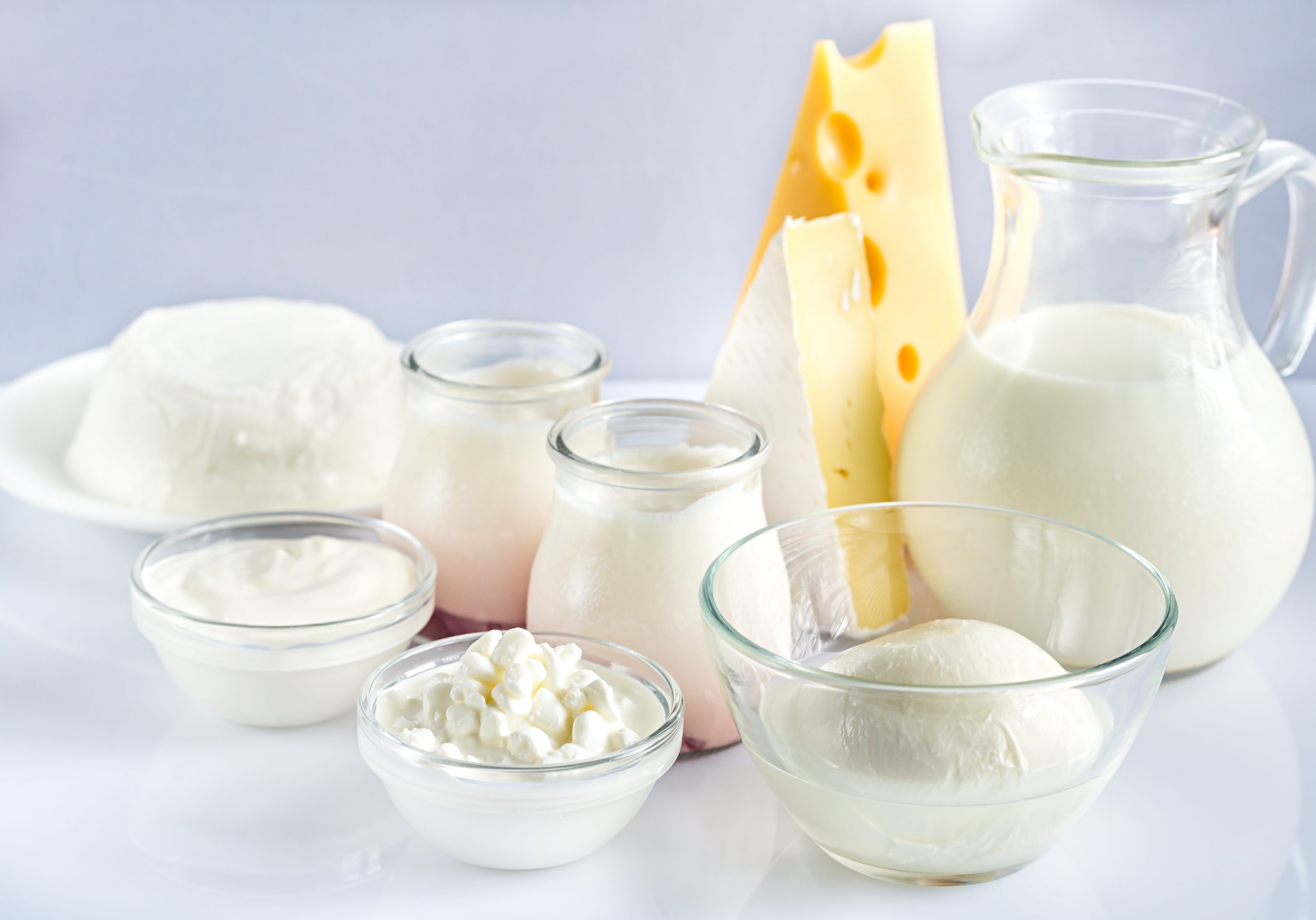 Control of mycotoxins in the dairy chain