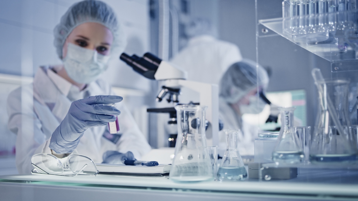 Heat-stable bacterial toxin analysis