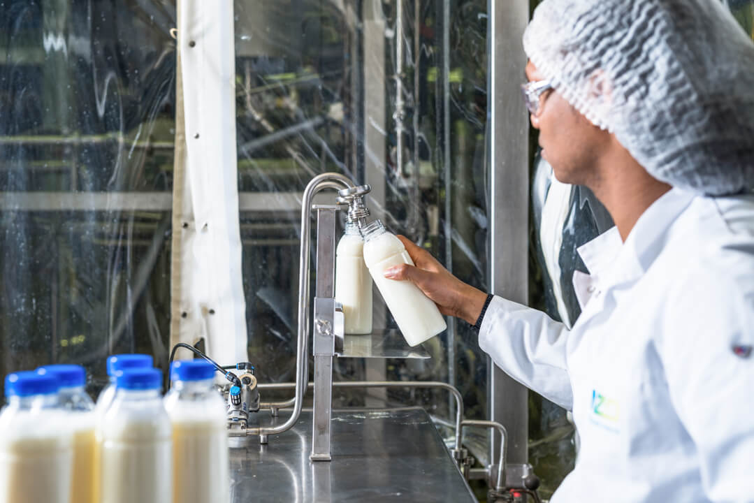 Microbial biomass, protein and metabolite production