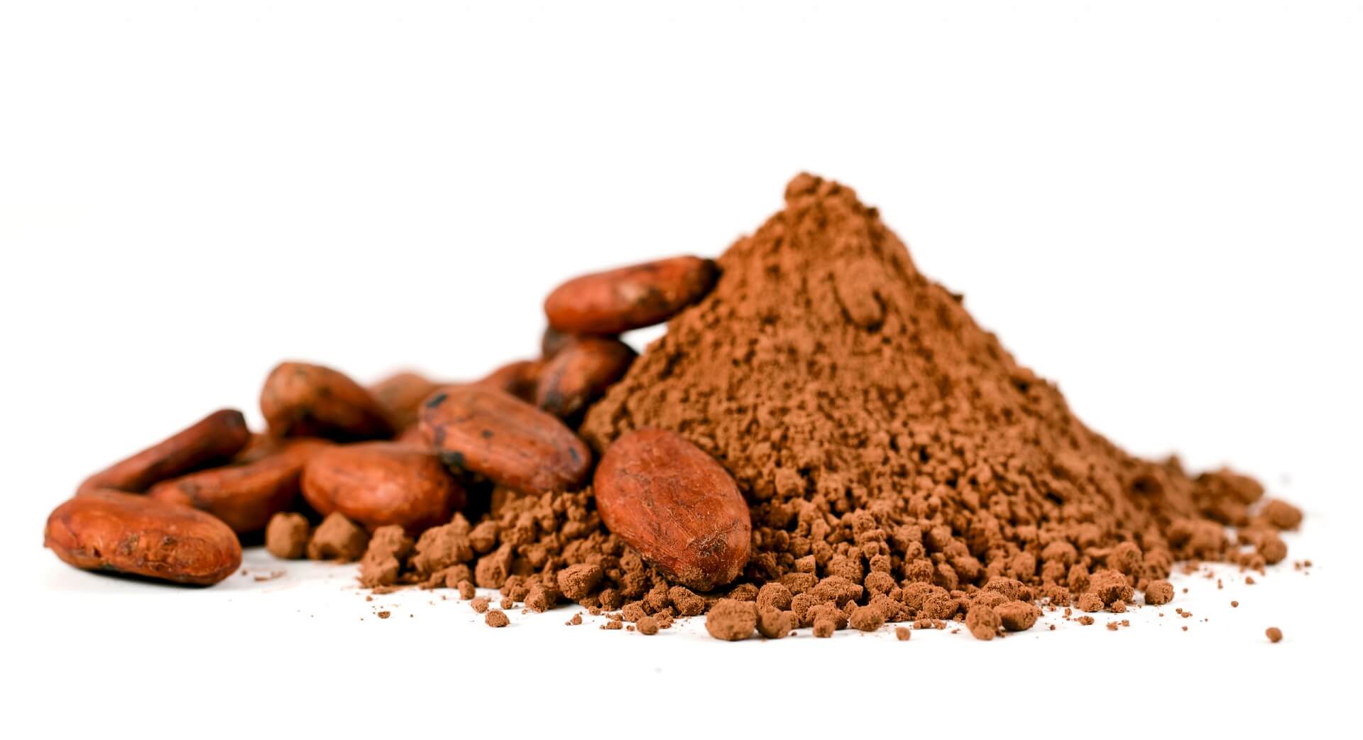 Practical method for spore enumeration in cocoa powders