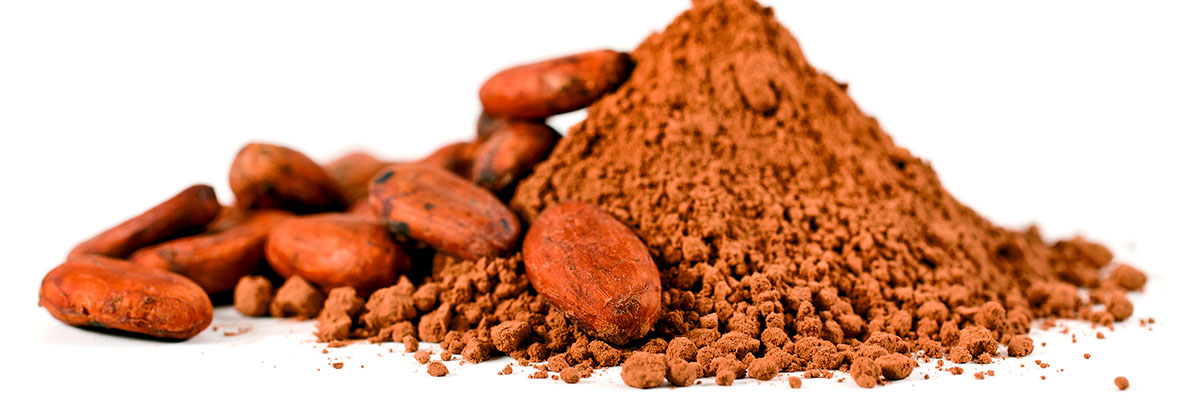 Reducing spore-related spoilage risk in UHT drinks containing cocoa powder