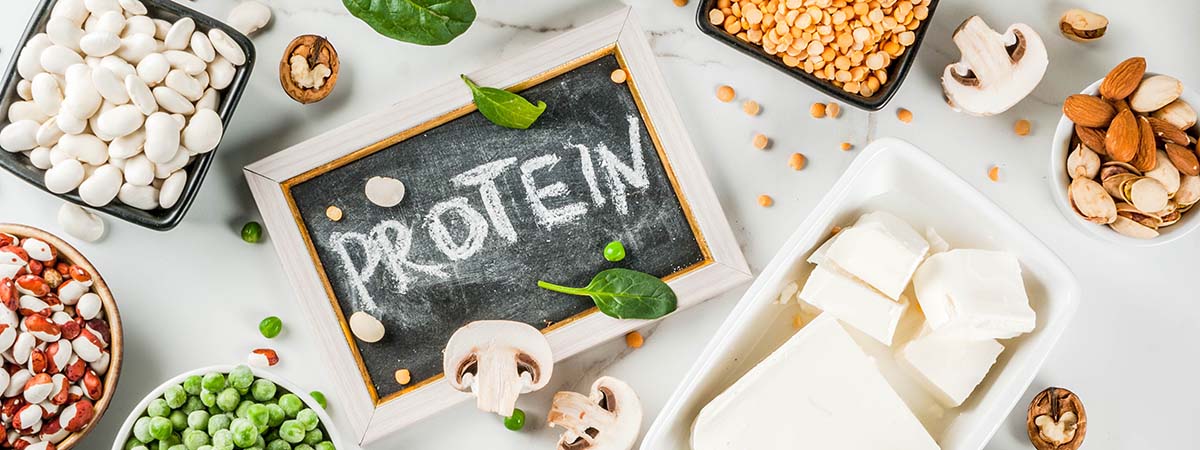 Using fermentation to improve the sensory and nutritional aspects of plant proteins