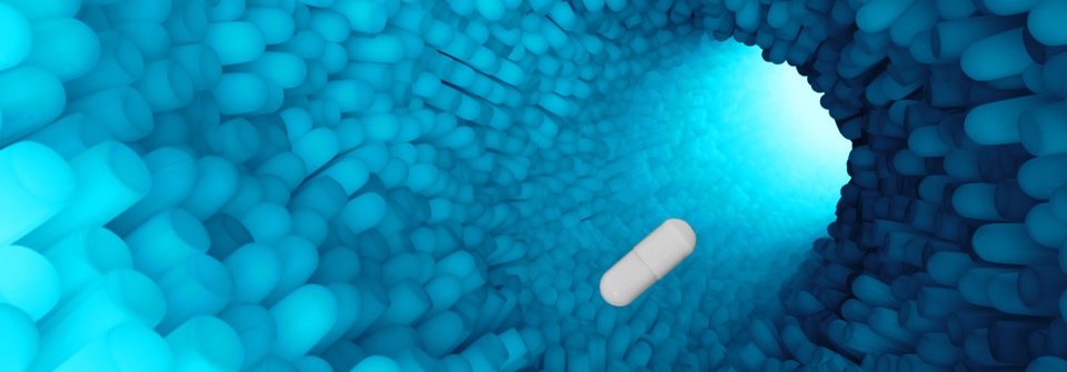 NIZO – Nimble Science partnership: offering advanced nutritional insights on the gut and immunity via Nimble’s SIMBA™ GI Platform