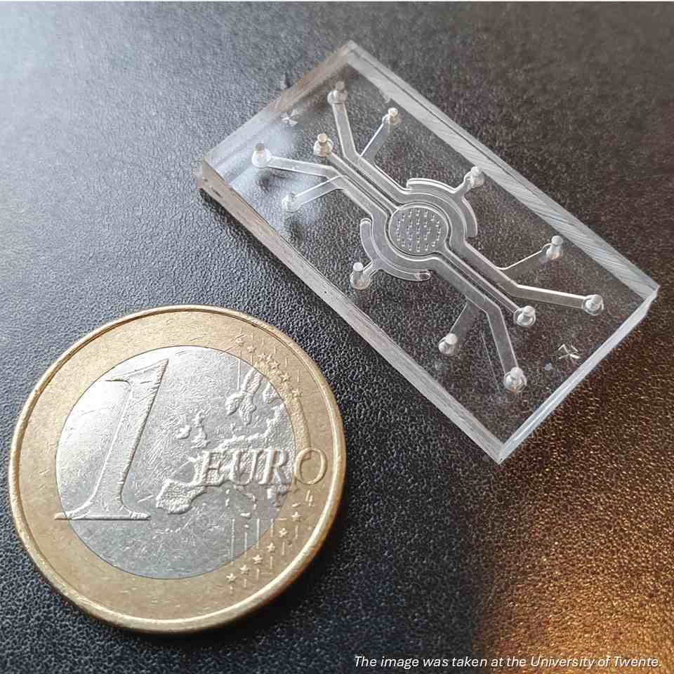 Gut-Brain Axis on Chip: Offering unprecedented insights into how food influences brain health. NIZO and University of Twente announce their partnership