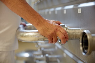 Processing makes the difference in protein functionality