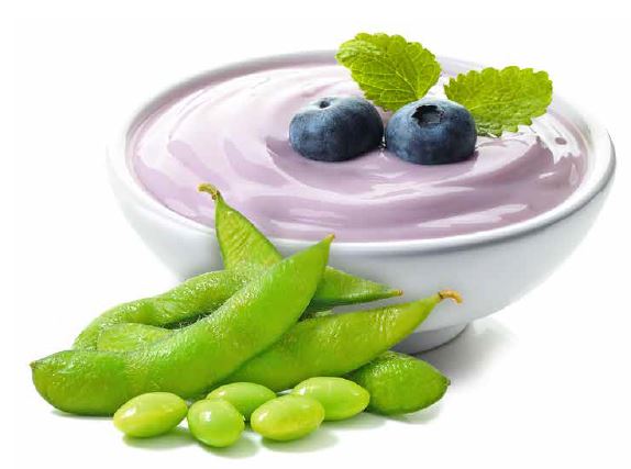 NIZO the Protein Expert