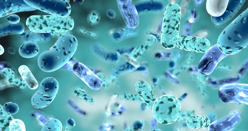 Dutch cabinet allocates €200 million for Holomicrobiome Institute