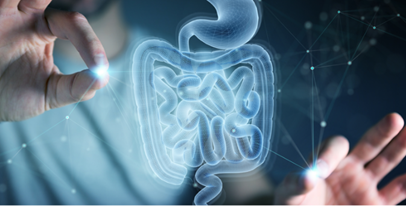 The probiotic journey, from discovery to health benefit substantiation