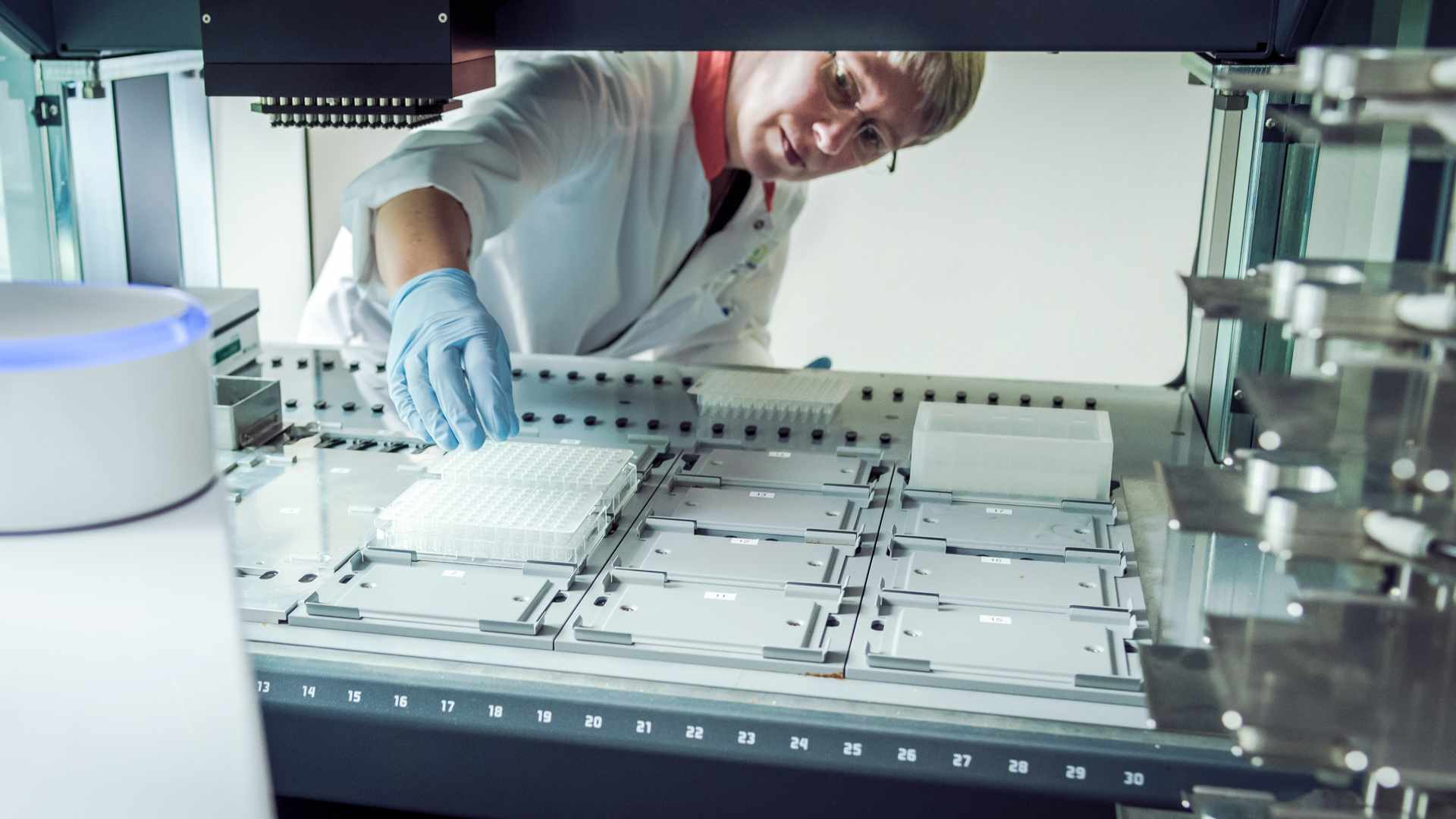 NIZO looking at the future of cheese through MicroCheese and DNA