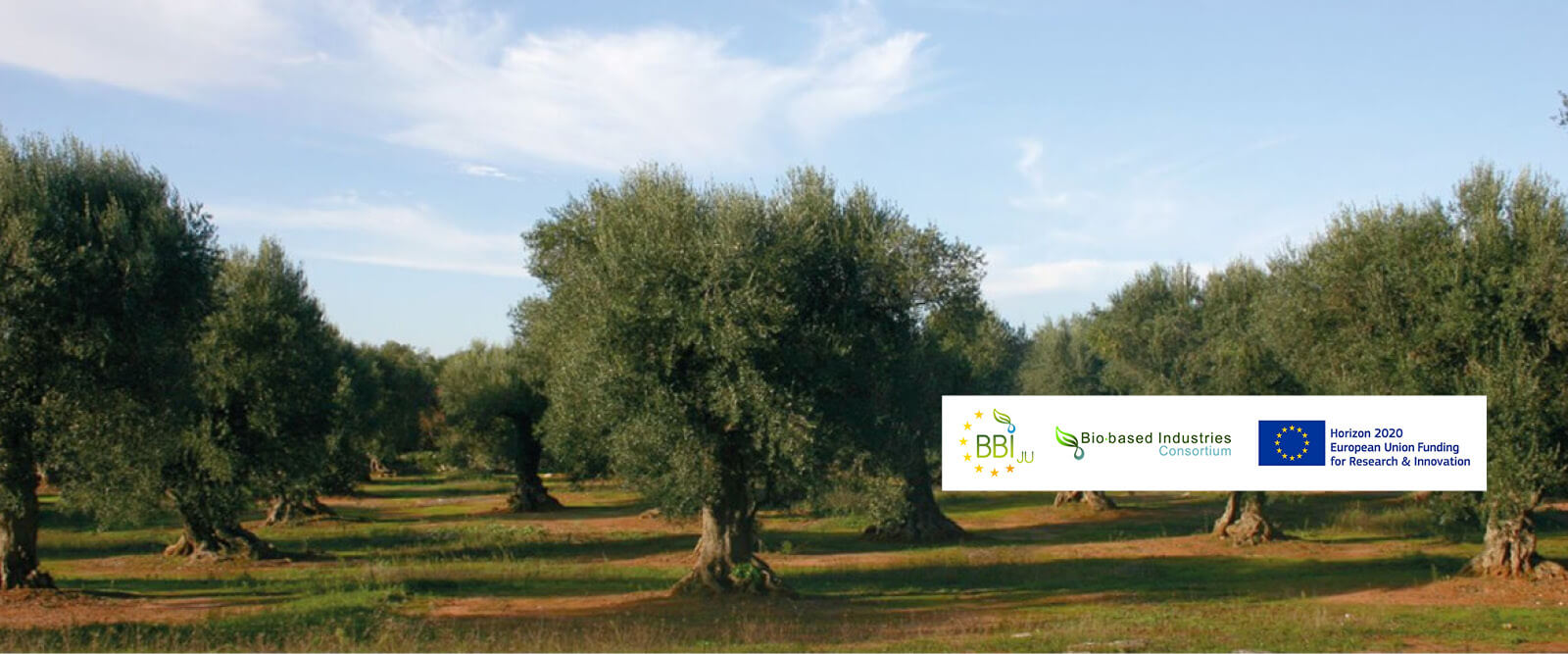 OLEAF4VALUE: targeted ingredients from olive leaf biomass