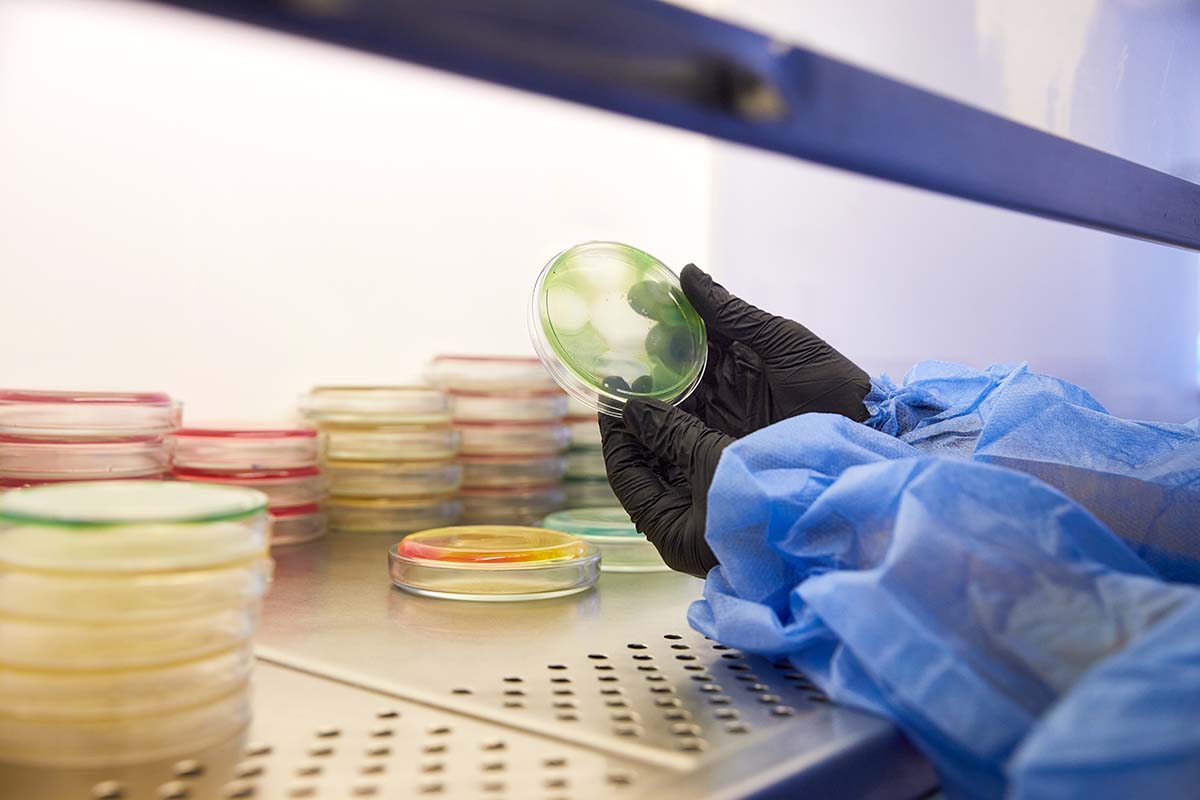 Reducing food waste through microbial quality control