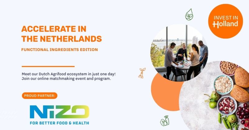 14 April & 20 May | Join us in the Accelerate in the NL programme