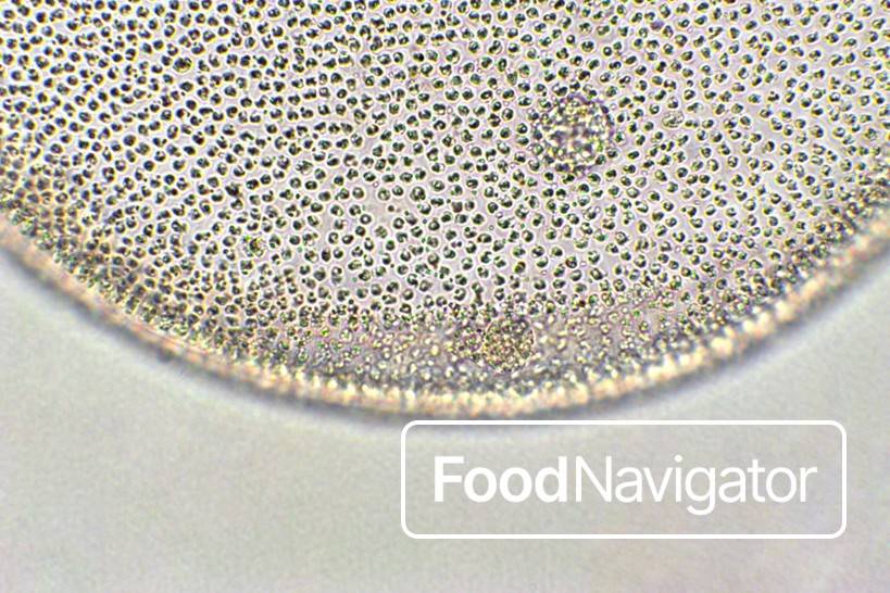 The untapped value of microbial fibre
