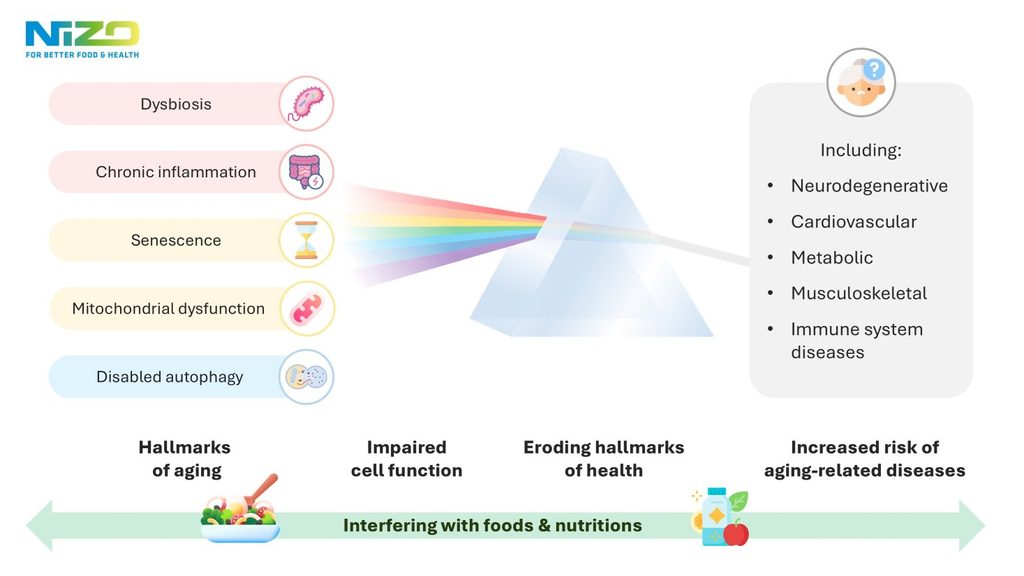 Hallmarks of aging