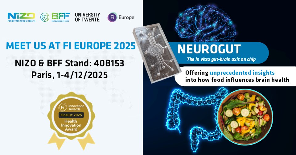 FiE25 NewsletterBanner rs