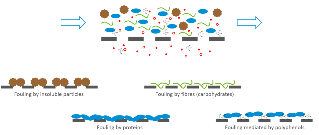 4 types of components in plant-based material can block the membrane filtration pores