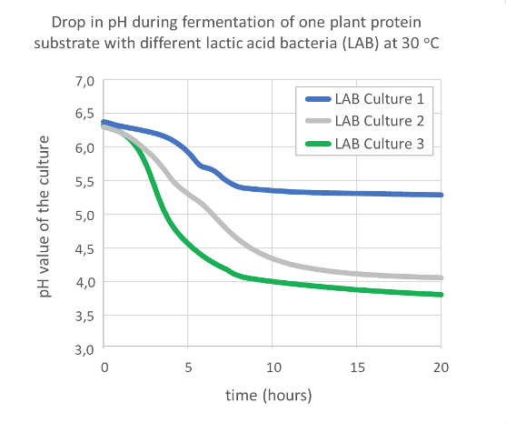 Some lactic acid bacteria do not acidify fast and not enough in plant substrates