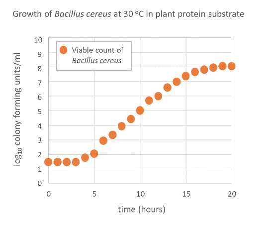 Toxin producing Bacillus cereus grows fast in plant protein liquids
