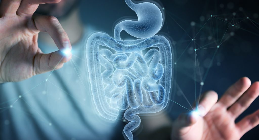 gut microbiome